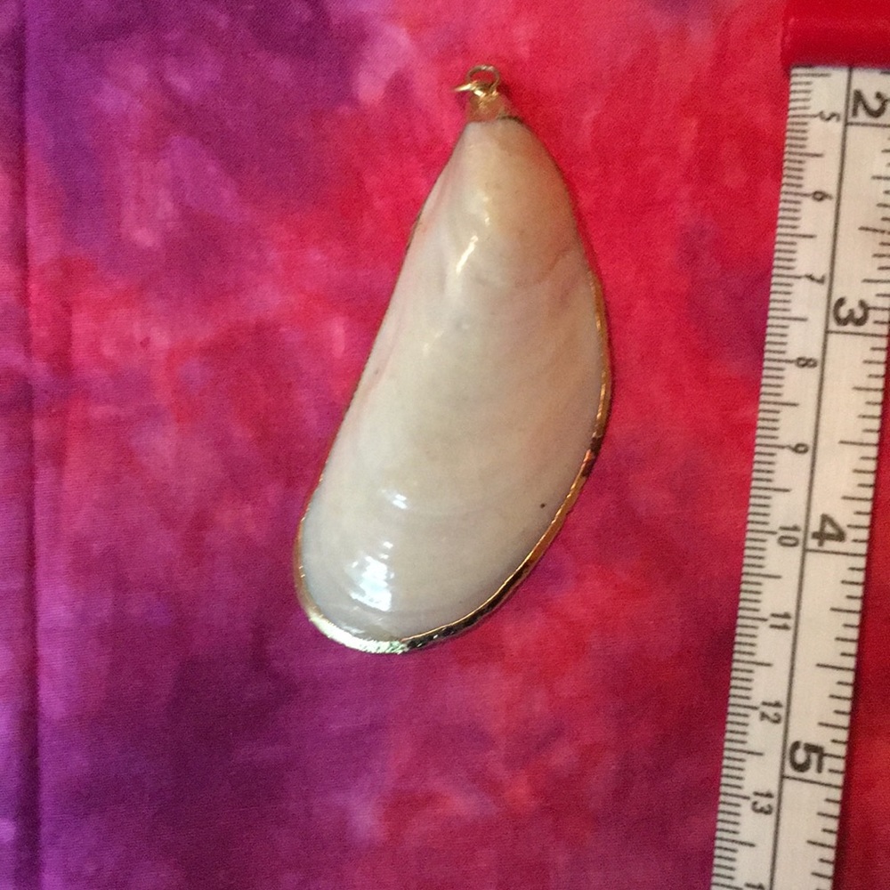 Shell pendant